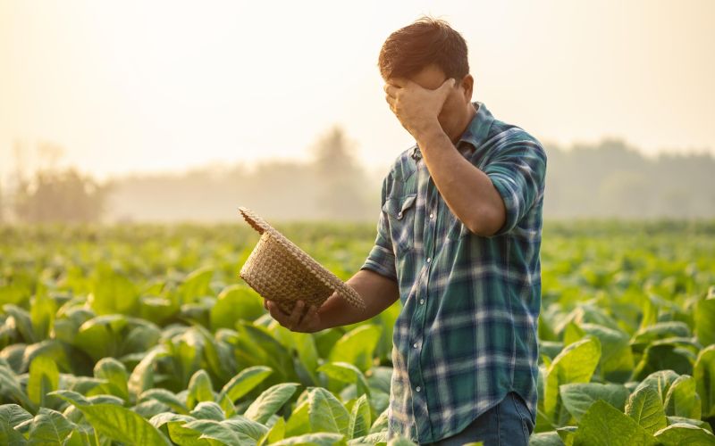 kmetijstvo naslovna shutter.jpg