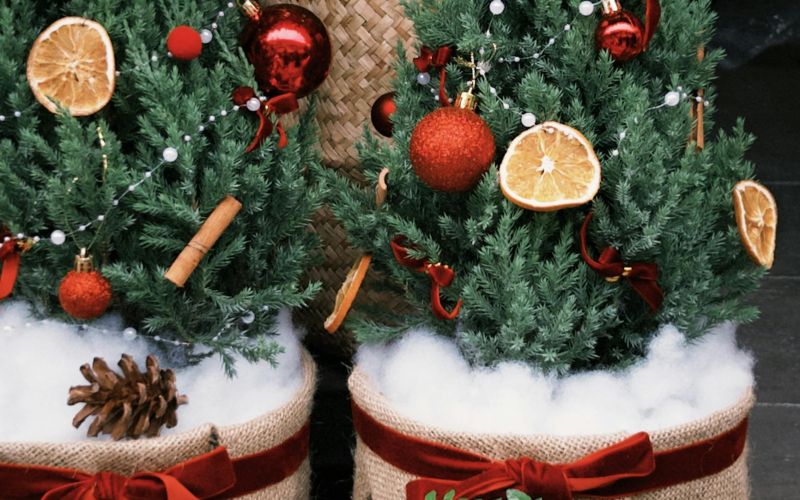 božično-novoletno drevesce v loncu 1