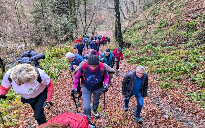 planinski-izlet, bohor