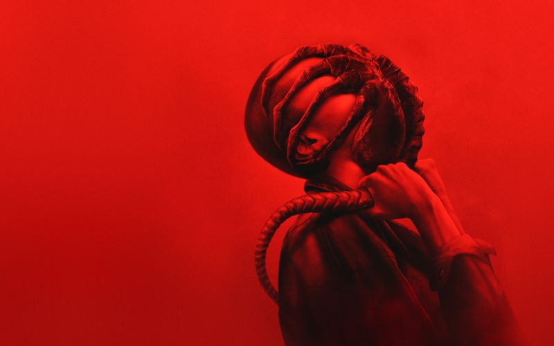 hbo-max, januar-2025