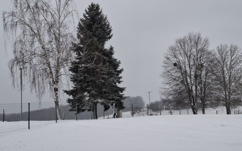 sneg, pomurje, snezna-odeja