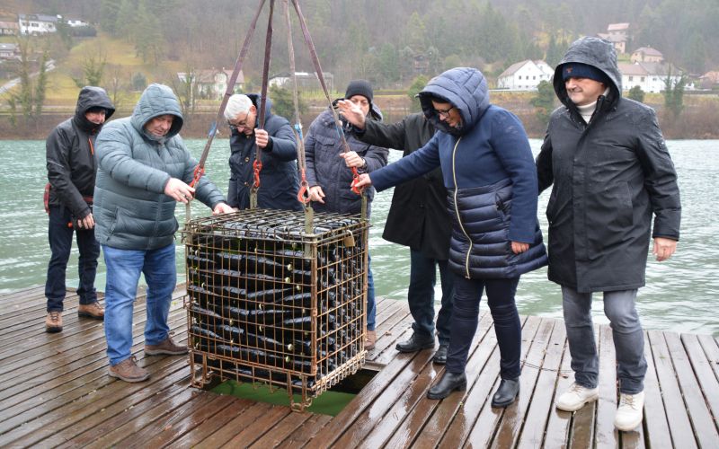 potop-penin-v-savo, sava