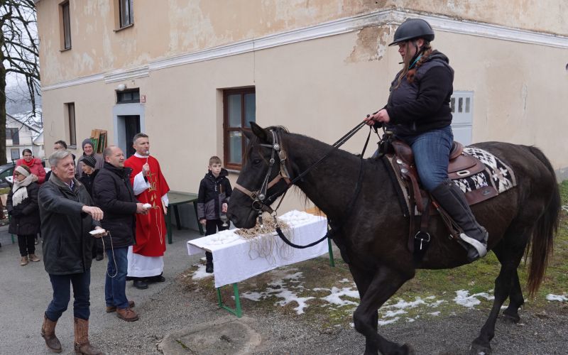 blagoslov-konj, gorenje-susice