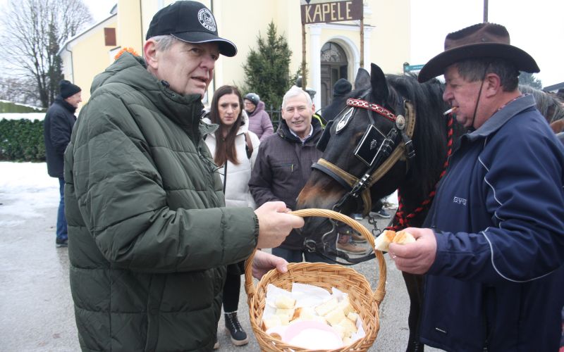 trideseti-blagoslov-konj-v-kapelah, stefanovo, konjerejsko-drustvo-kapele