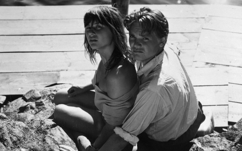 Ingmar Bergman, Poletje z Moniko - Ciklus se bo začel s filmom Poletje z Moniko.