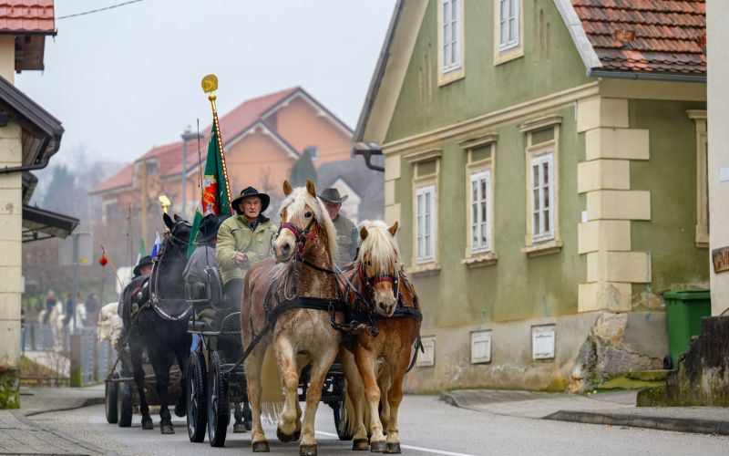 stefanje, dan-samostojnosti-in-enotnosti, trznica