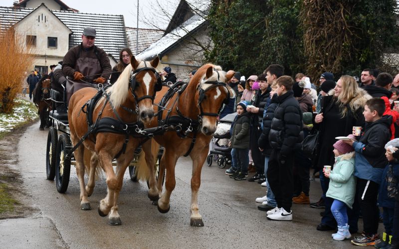 zegnanje-konj, stefanovo