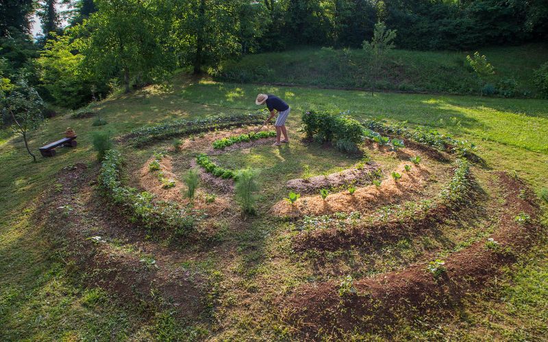 zelenjavni vrt kot mandala 1