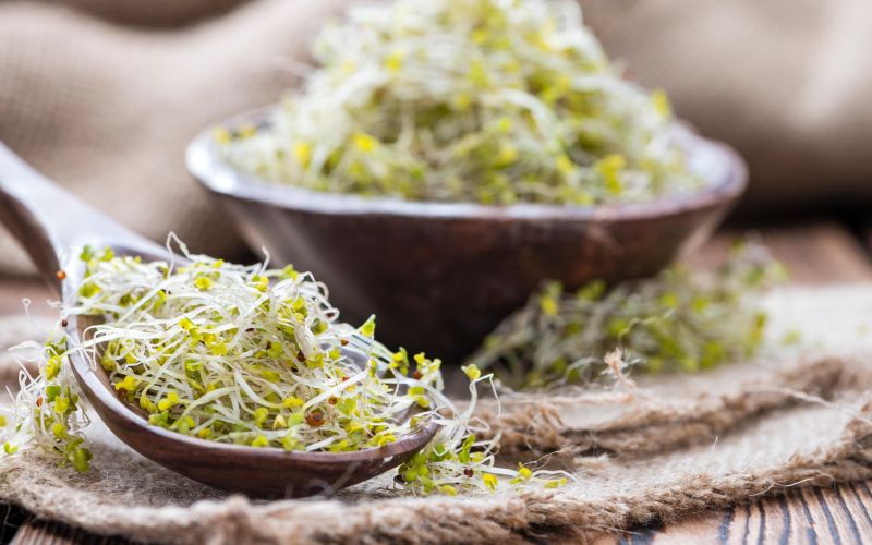 z brokolijevi kalcki.jpg