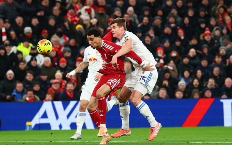 jaka bijol 26 pm1.jpg