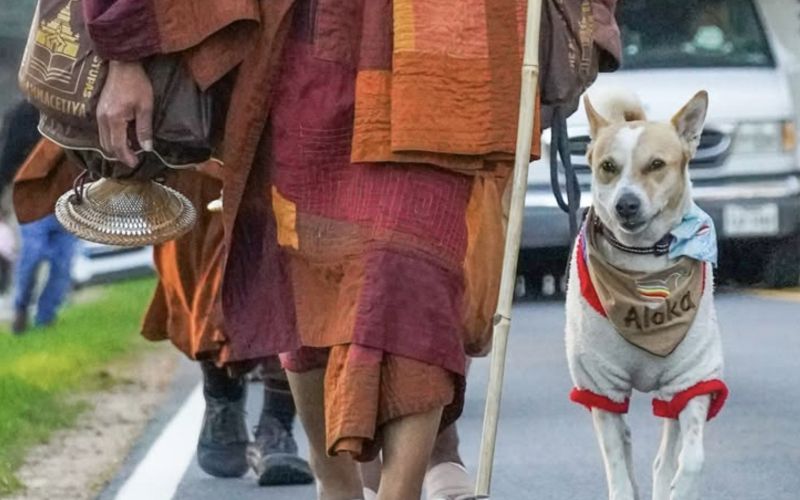 Danes skupaj z 19 menihi iz Teksasa hodi proti Washingtonu na 3.700 kilometrov dolgi poti, s katero širijo sporočilo miru, enotnosti in sočutja.