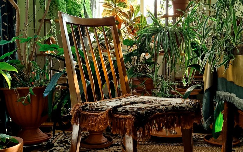 mit o sobnih rastlinah 2