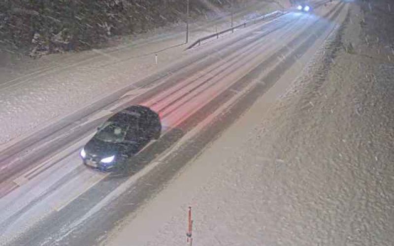 OCLocica_Ocl1_0001 (1).jpg