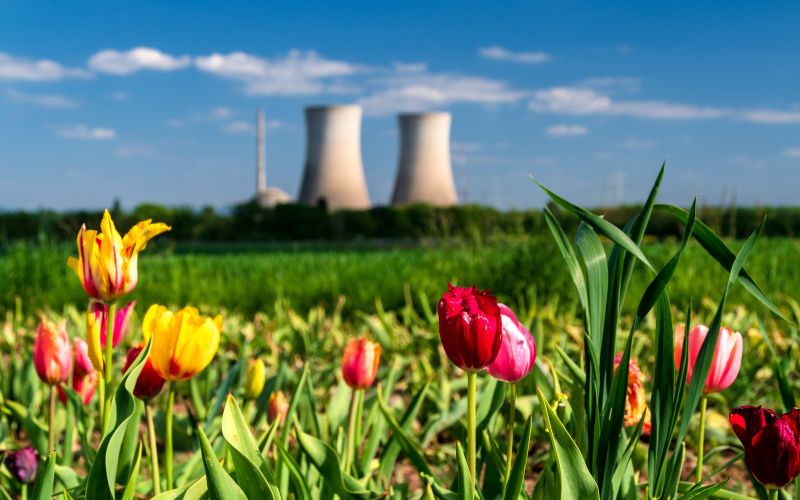 reaktor, jedrski-reaktor