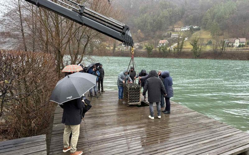 Potop penine 2025.jpg