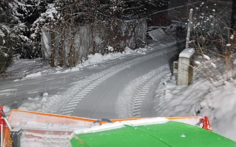 zimska-sluzba, zelenice