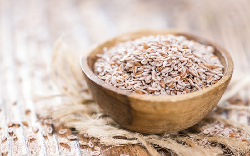 Indijski trpotec, psylium