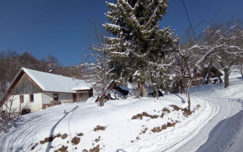 smrt-zaradi-podhladitve