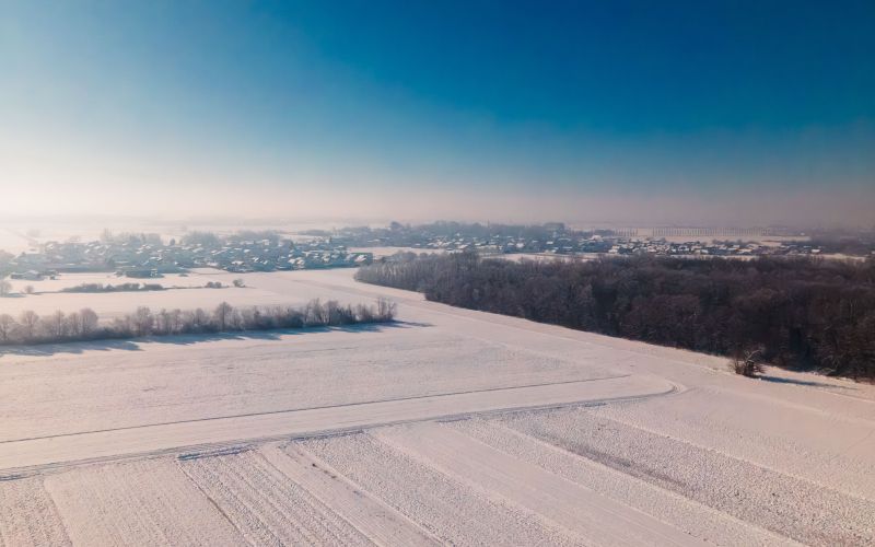 simbolična, zima, sneg, dron, gozd, narava, drevesa