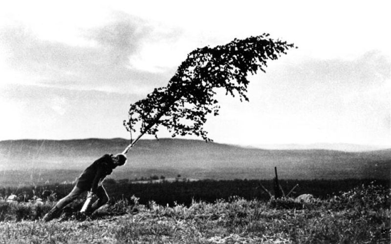 Ko vera trči ob nepopravljivo izgubo. Prizor, ki ne ponuja tolažbe, temveč vprašanja, ki ostanejo z gledalcem dolgo po koncu filma.