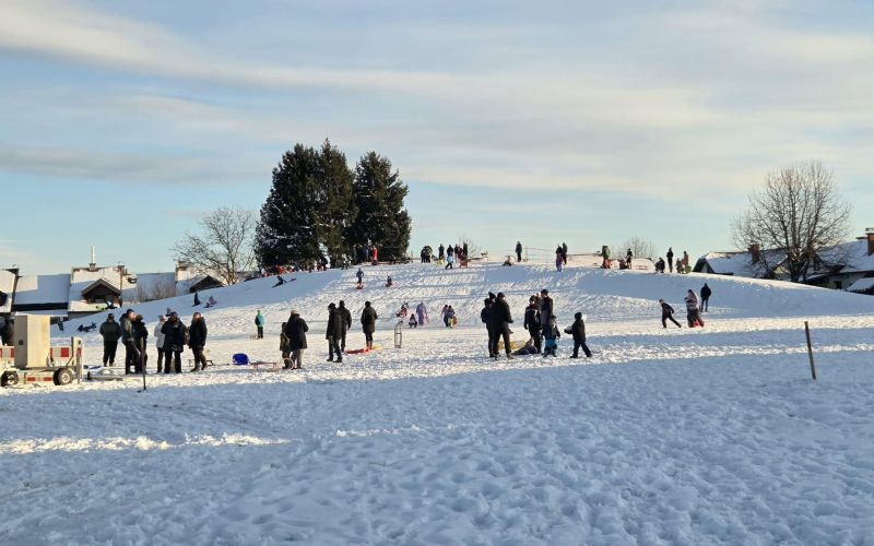 černelavci, sankanje