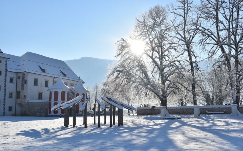 02_Zimska Forma viva 2026, arhiv GBJj.jpg