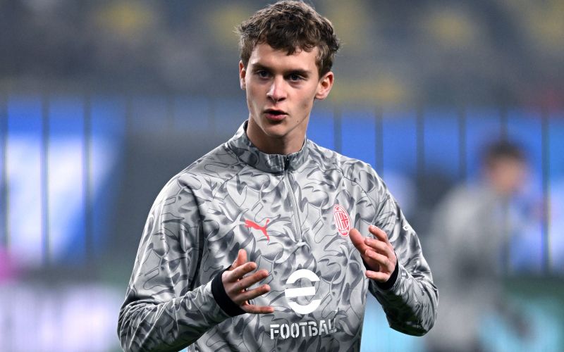 maximilian ibrahimovic.jpg