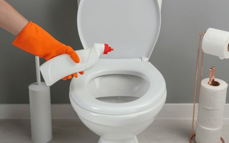 male-komunalne-cistilne-naprave, rjave-alge