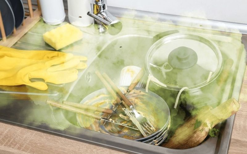 male-komunalne-cistilne-naprave, rjave-alge