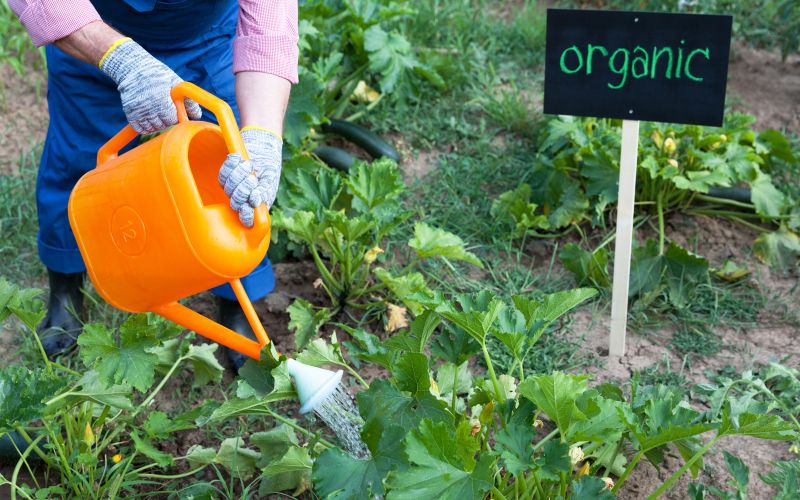 poreklo-hrane, bio-hrana