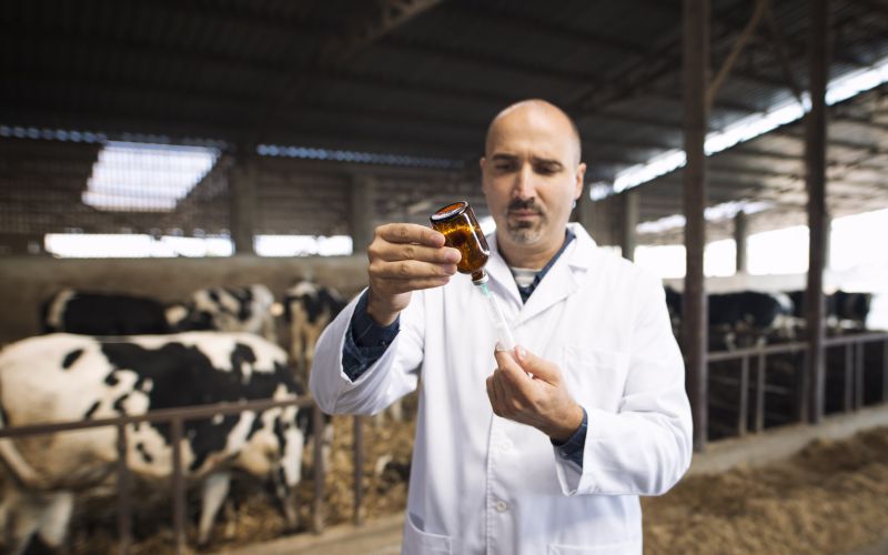 mv-cepljenje goveda.jpg