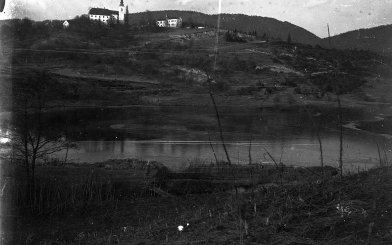 fana vrabič Slika 2.jpg