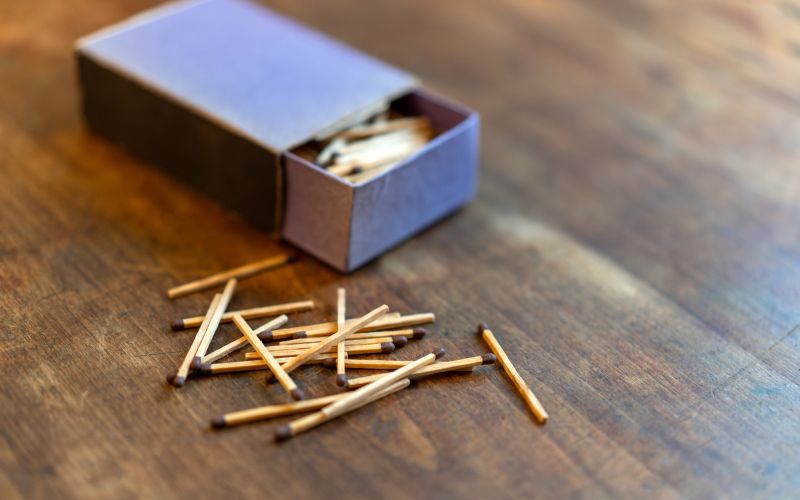 sobne-rastline-skodljivci