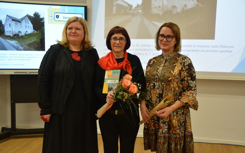 ivanka-pockar, ulice-in-ljudje-v-mestu-na-brezcu, drustvo-za-ozivitev-mesta-brezice