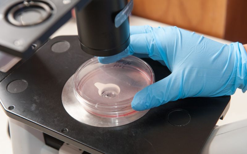 Raziskovalec, raziskava, znanstvenik, znanstvenica, mikroskop, simbolična, vzorec