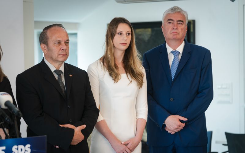 Branko Grims; Zala Tomašič; Milan Zver