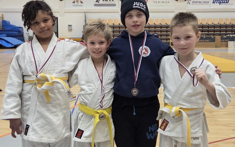 judo, memorial-stanka-topolcnika, slovenska-bistrica, storkljice