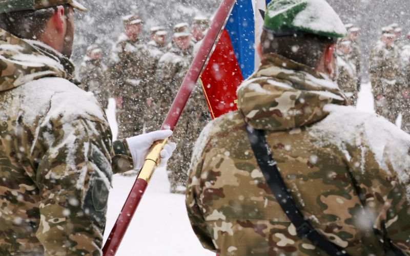 slovenska vojska.JPG