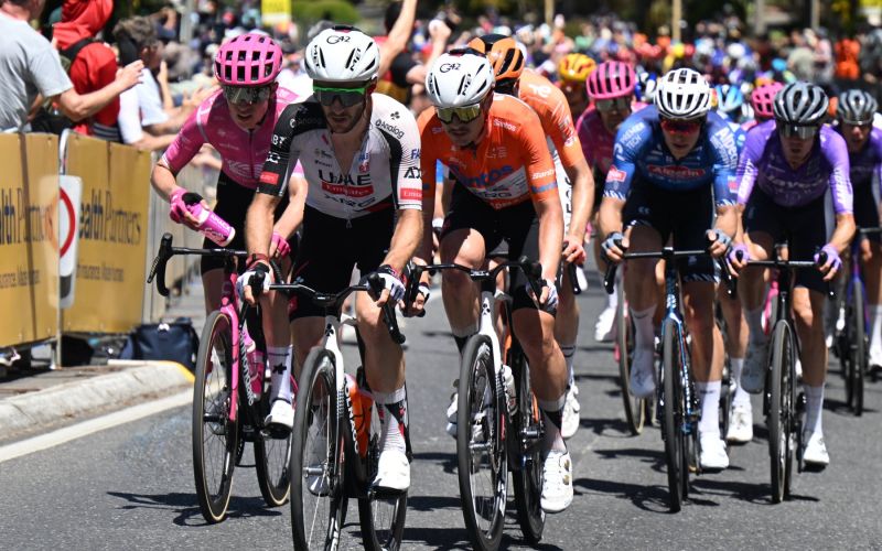 vine kolesarstvo.jpg