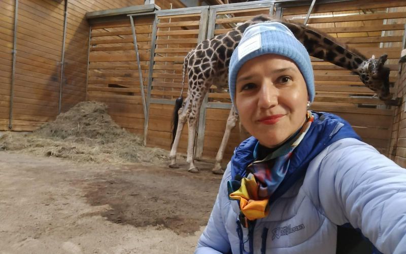 Tina Bregant žirafa 2.jpg