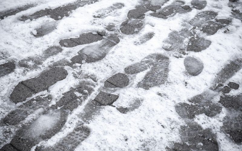 sneg, odtisi, moker sneg.jpg