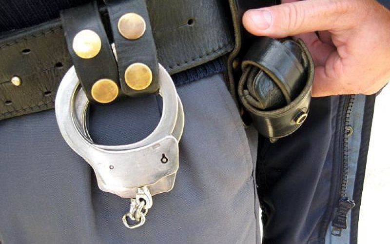 lisice arhiv DL.jpeg