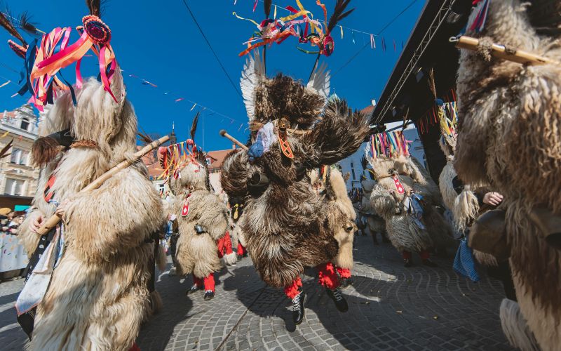 Izbor_Etno povorka 20205_Stanko kozel (18).jpg