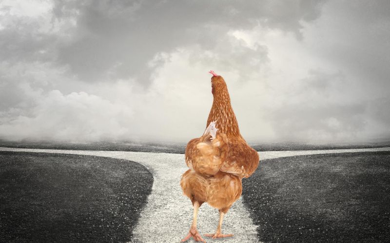 volitve (1) shutter mont.jpg