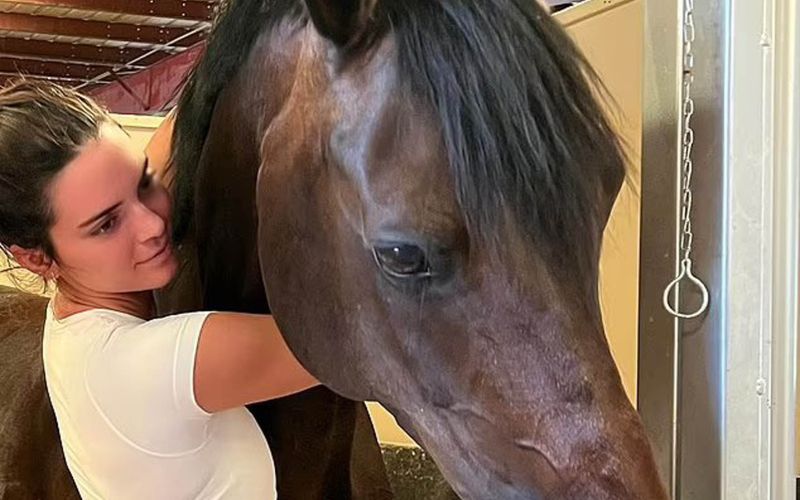 kendall jenner 2.jpg