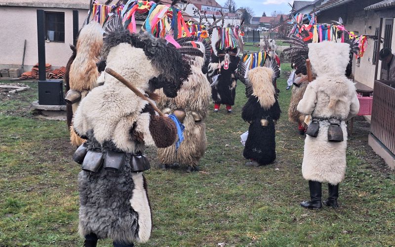 EK_prikaz mask 3.jpg