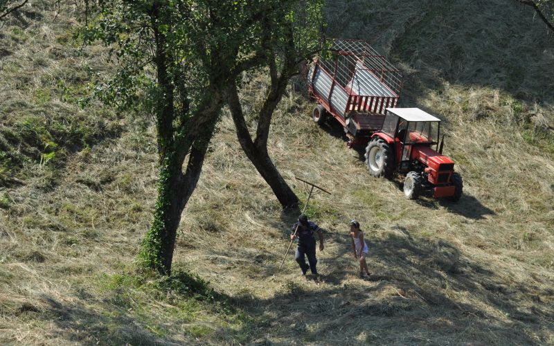 mv-gorske kmetije.JPG