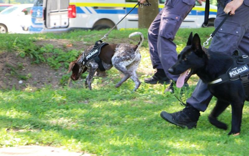 pogrešani, policija, iskanje