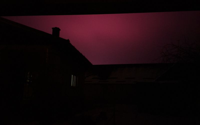 Panvita, rastlinjak, nemščak