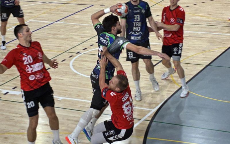 trimo-trebnje, trimo-slovan